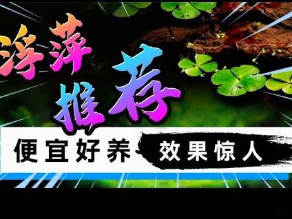 一种带点阴谋论的猜测