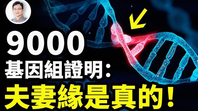 世界杯期间梅西遭受的威胁最多，C罗则被跟踪骚扰最严重