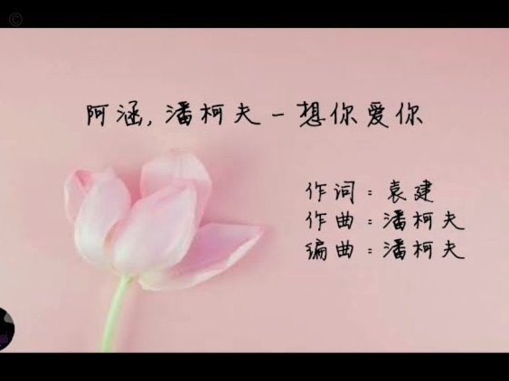 潘朝伟失误成焦点，如何应对黑粉？